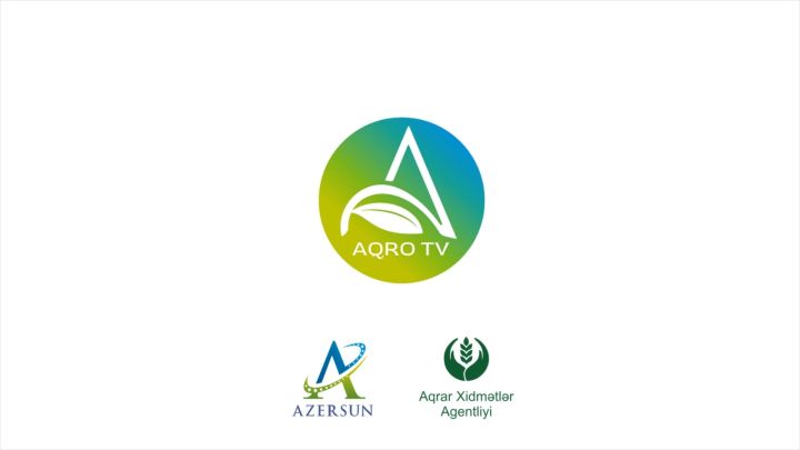“Azərsun Holdinq” və Aqrar Xidmətlər Agentliyi sosial layihə reallaşdırıb